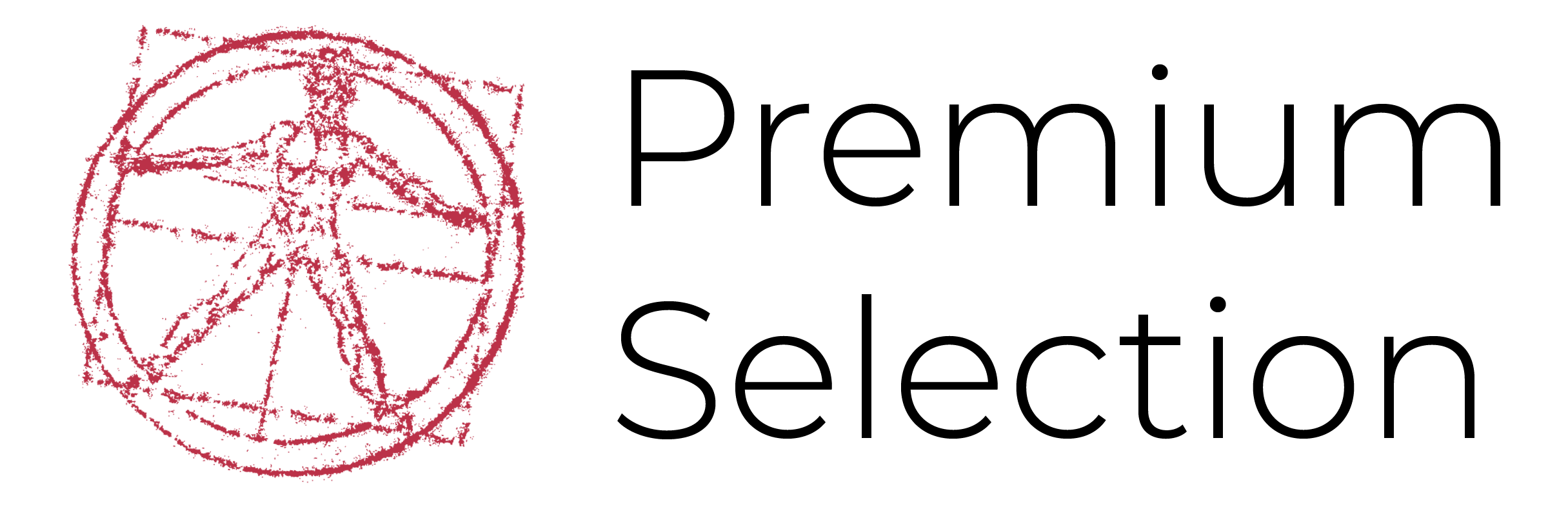 Logo_Schriftzug_PS